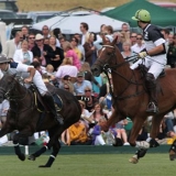 Polo, Commercial Wedding Photographers: Photoscience.co.uk